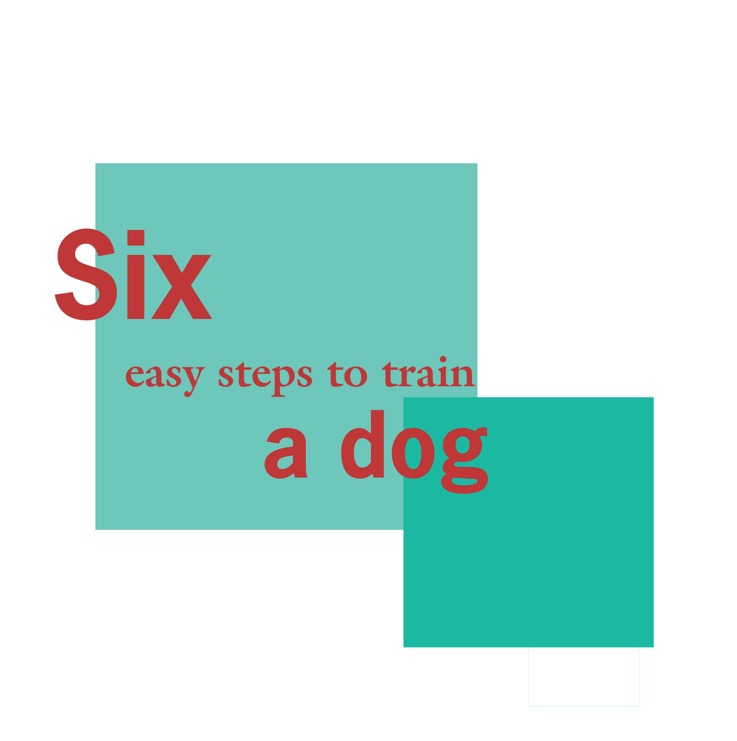 Six Easy Steps to Train Your Dog